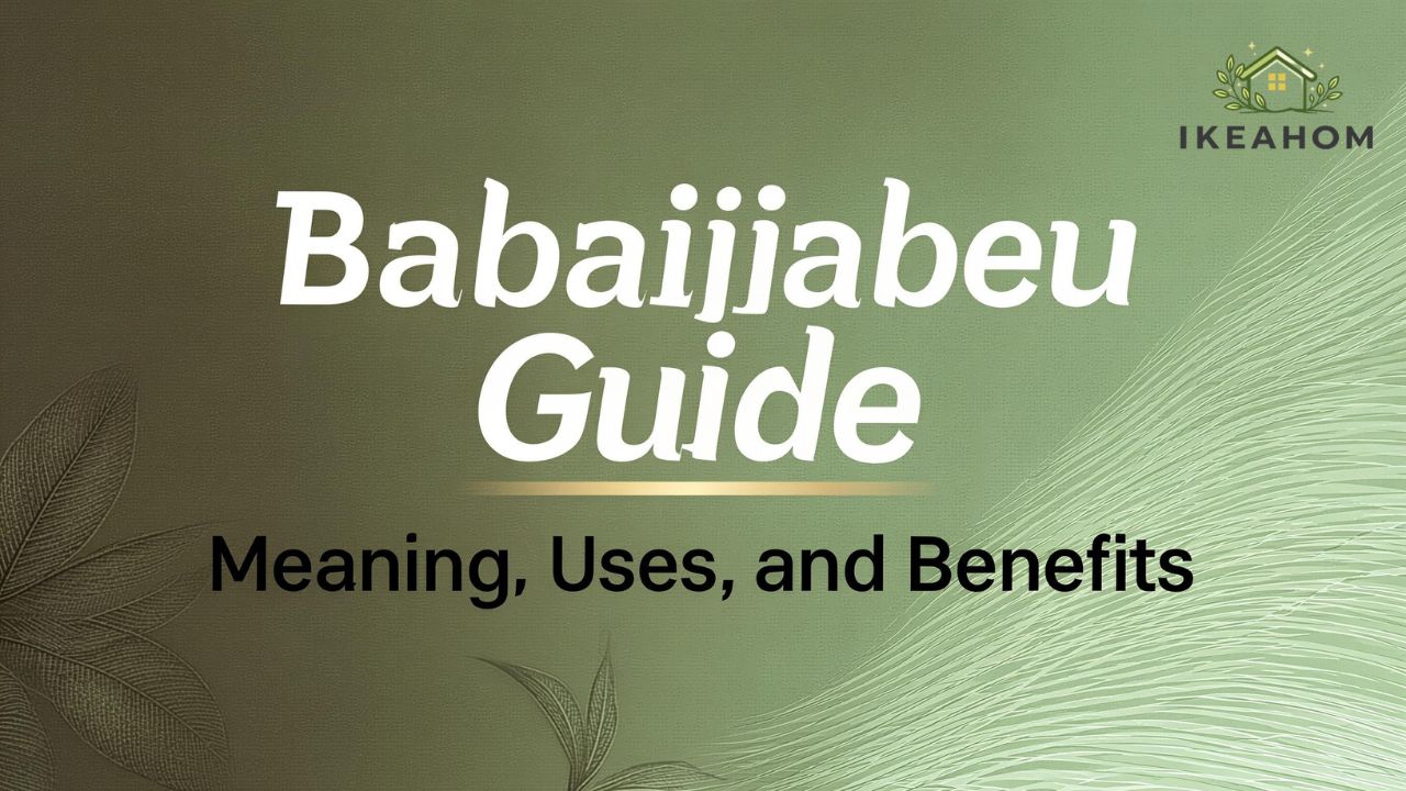 Babaijabeu Guide: Meaning, Uses, and Benefits